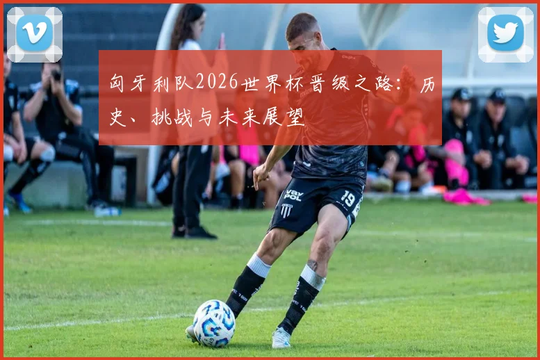 匈牙利队2026世界杯晋级之路:历史、挑战与未来展望
