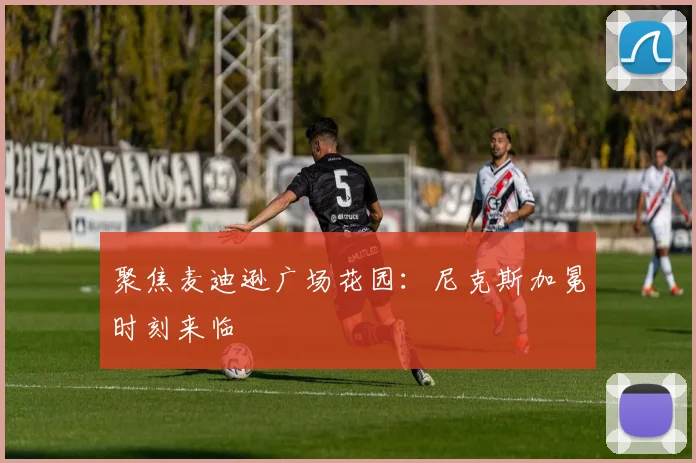 聚焦麦迪逊广场花园:尼克斯加冕时刻来临